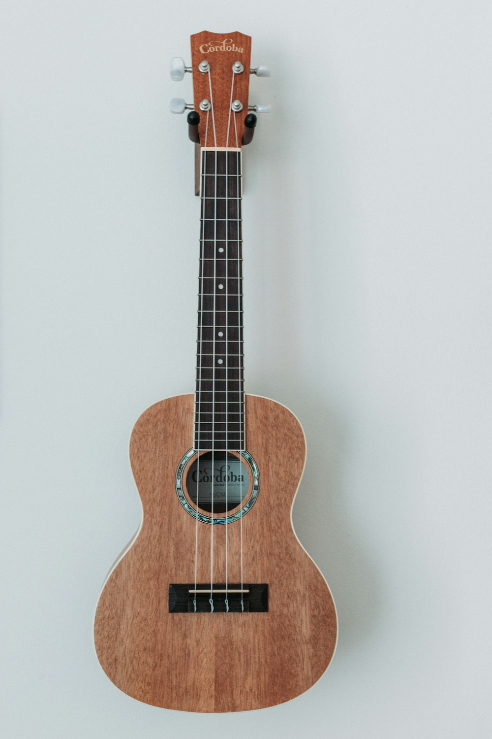 Detail senar gitar
