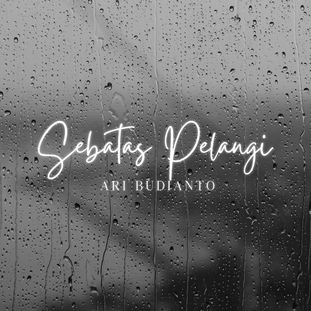 Ari Budianto