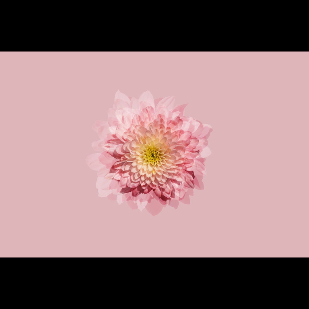 Lagu Bugis