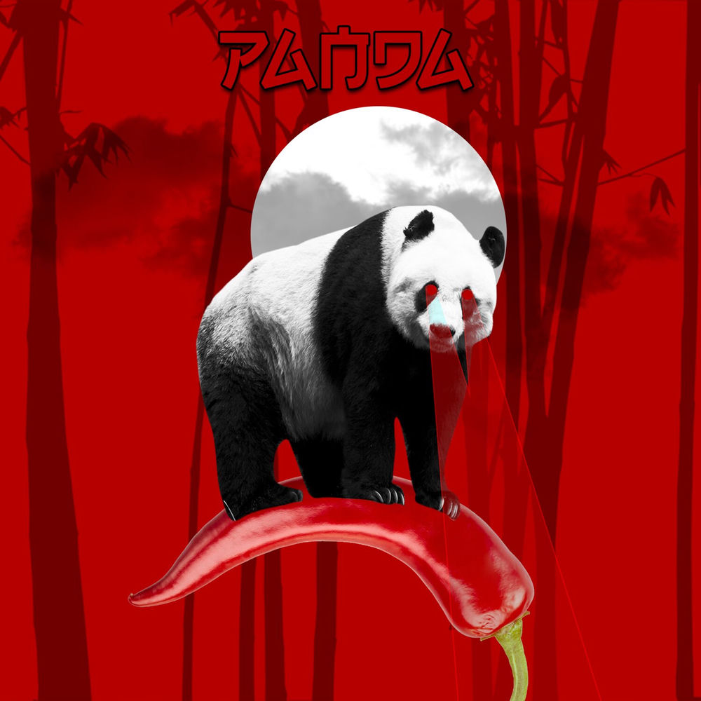 Akar Bunga