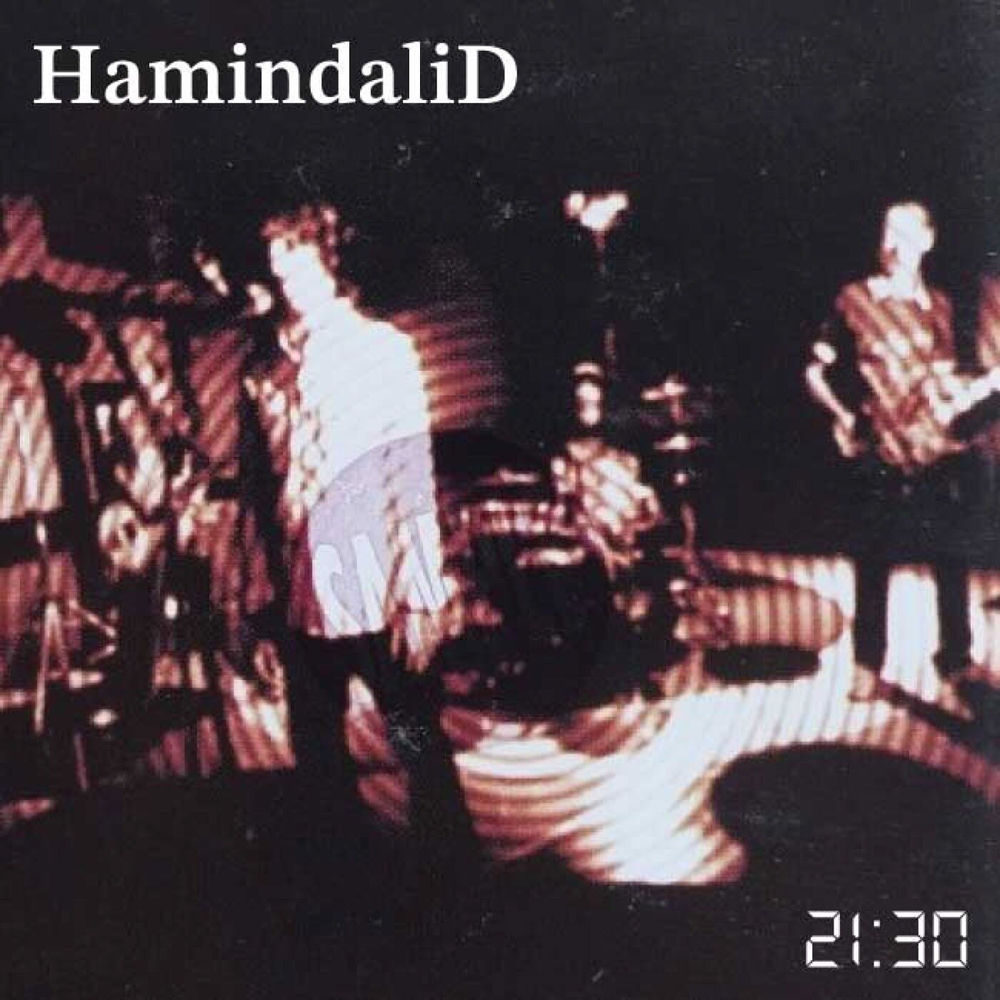 Hamindalid
